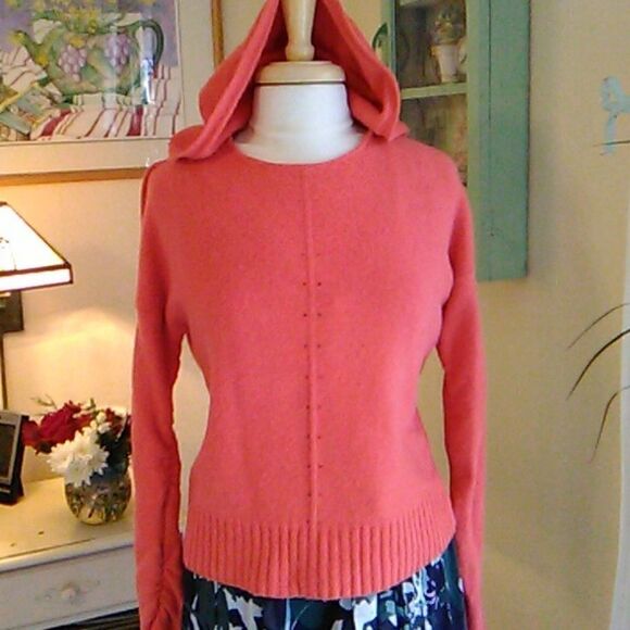 Moth by Anthropologie Hooded Sweater - Picture 1 of 13